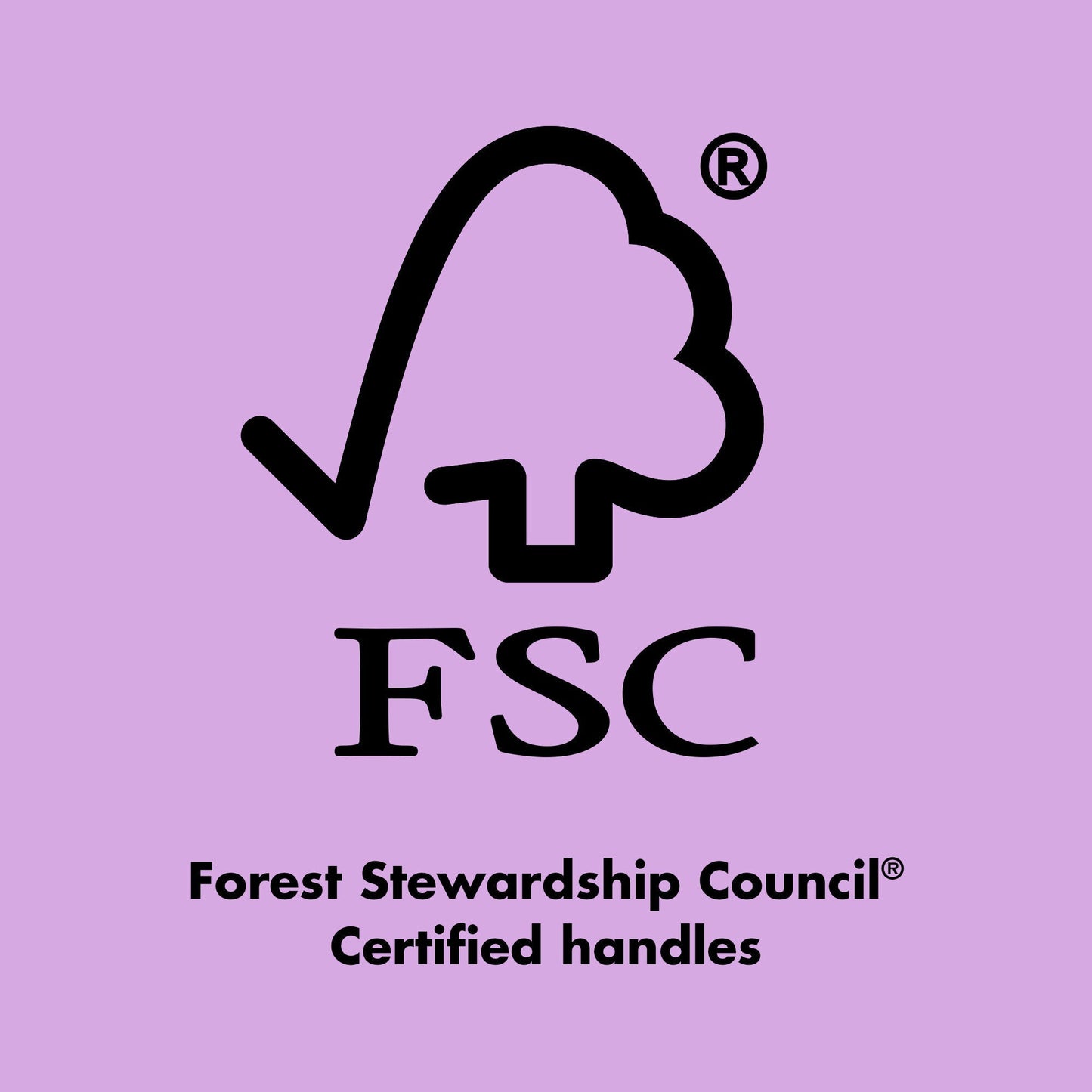 ten-out-of-ten-brush-kit-g1 0423_EDUCATION_FSC_EVERGREEN.jpg