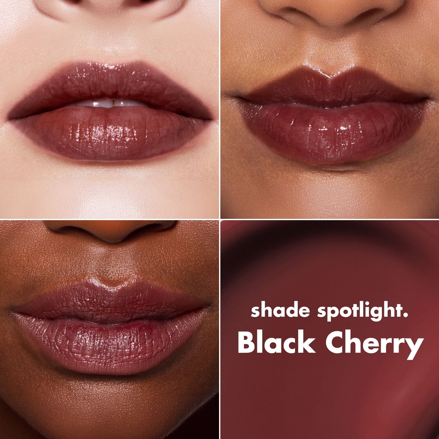 lip-lacquer-u3 0426_EDU_LipLaquer_ShadeChart_BlackCherry.jpg