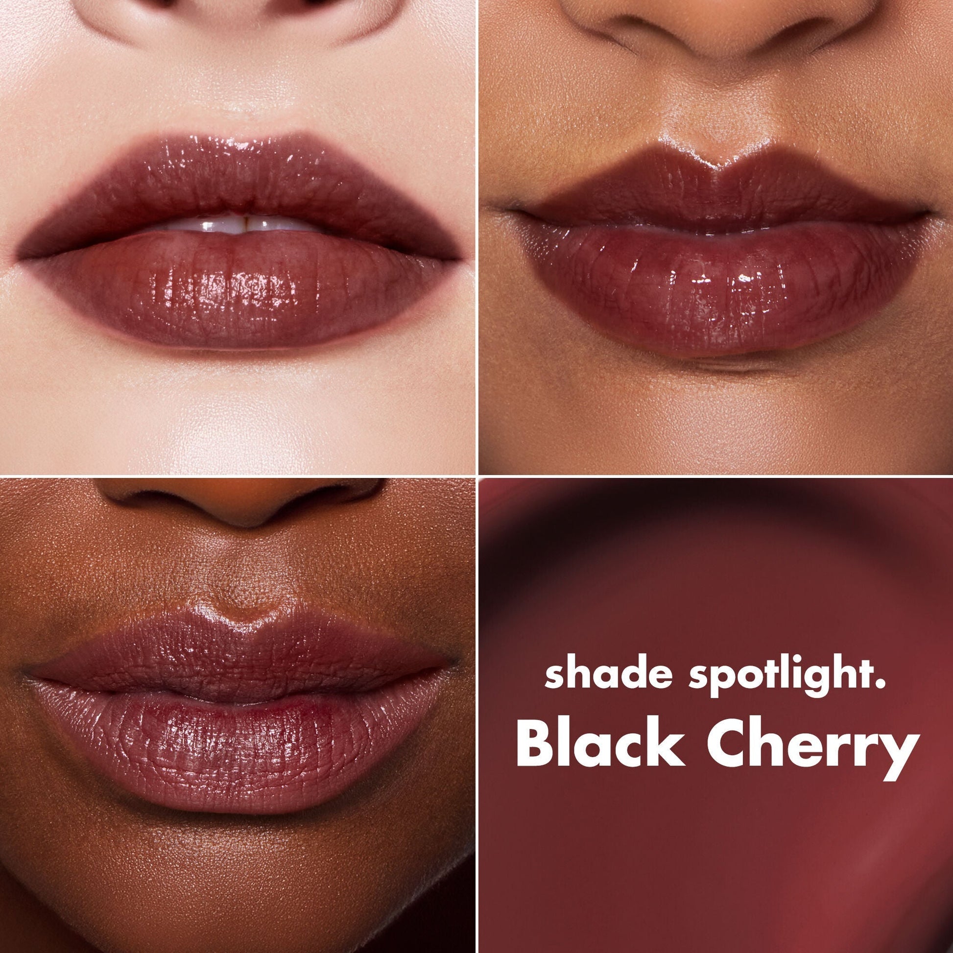 lip-lacquer-u3 0426_EDU_LipLaquer_ShadeChart_BlackCherry.jpg