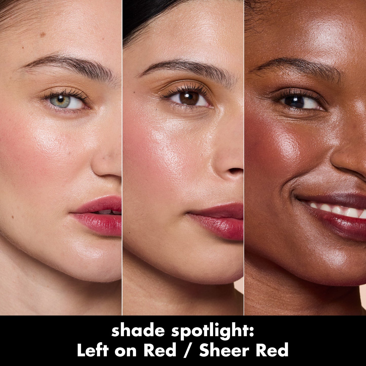 sheer-for-it-blush-tint-f5 0526_SEO_SheerForIt_ShadeSpotlight_LeftOnRed.jpg