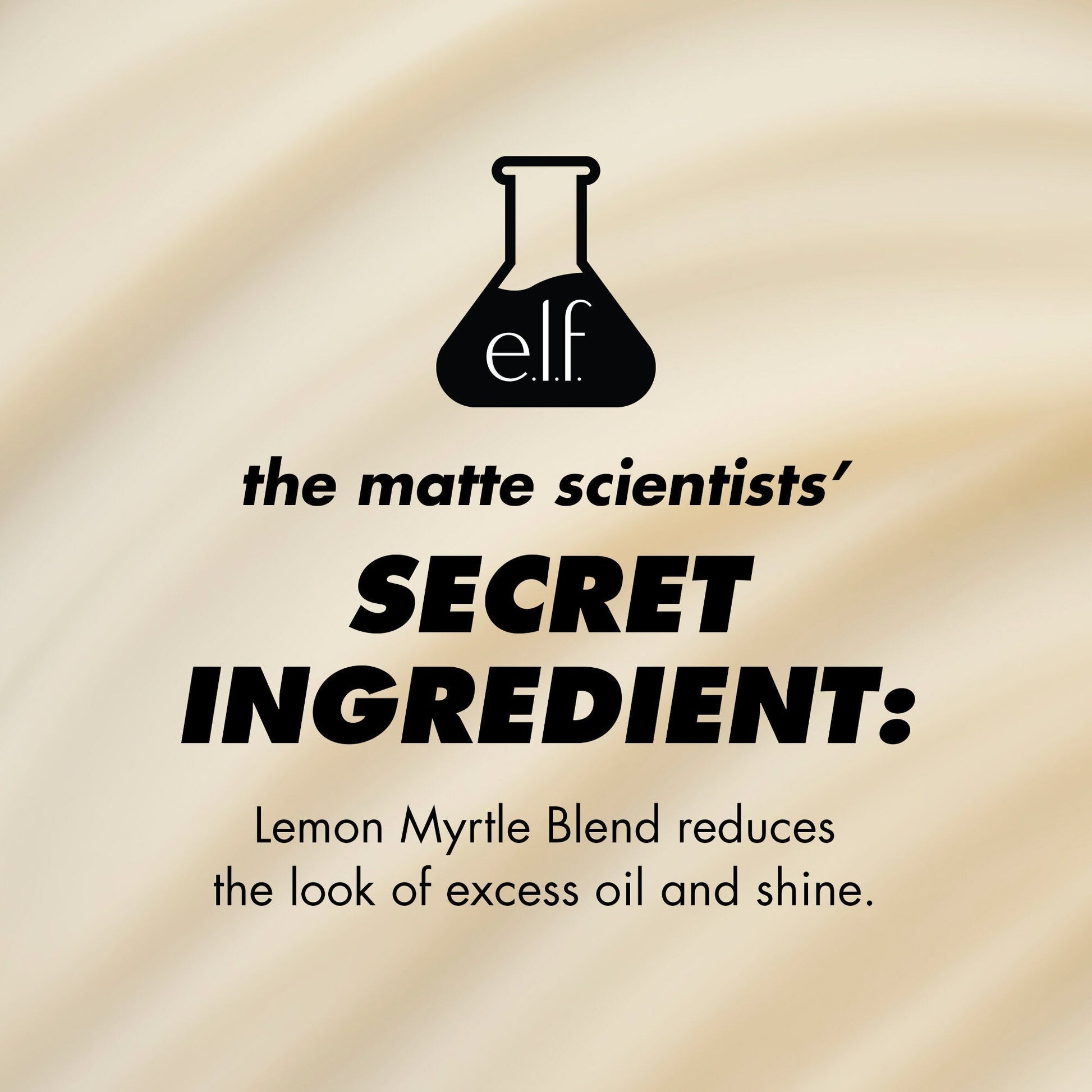 power-grip-matte-primer-z1 1224_EDUCATION_PGMATTE_INGREDIENT_b9de063f-aeb5-403f-9709-c3cafbf9c9d1.jpg