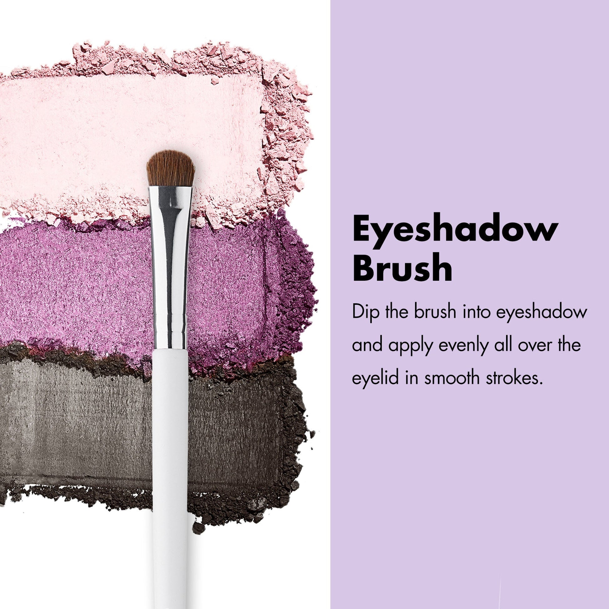 professional-set-of-12-makeup-brushes-i1 ProfessionalBrushes_Eye_EyeshadowBrush_PDP_Edu_2000x2000_2418e3b8-bb65-4e6d-af53-e6d0aab002ae.jpg